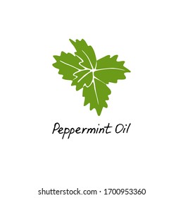 Mint green vector illustration. Hand drawn peppermint logo. Peppermint oil for cosmetic design