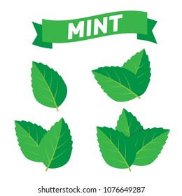 Mint Green Vector Illustration Set. Mint Logo Vector