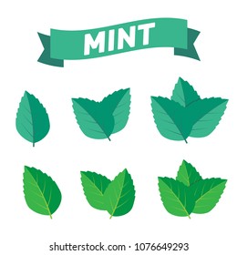 Mint green vector illustration set. Mint logo vector