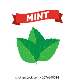 Mint green vector illustration set. Mint logo vector