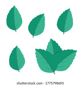 Conjunto de ilustraciones vectoriales verde de la Fábrica de la Moneda. Vector de logotipo de Mint