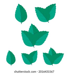 Minzgrüner Vektorgrafik-Set. Mini-Logo-Vektorgrafik