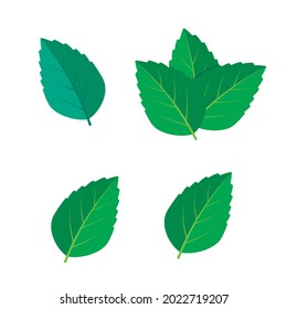 Conjunto de ilustraciones vectoriales verde de la Fábrica de la Moneda. Vector verde de punto