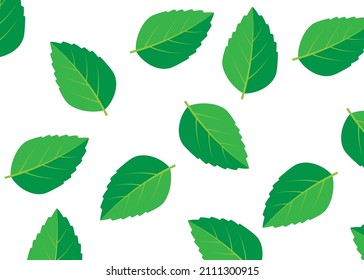 Mint green vector illustration set. Mint logo vector