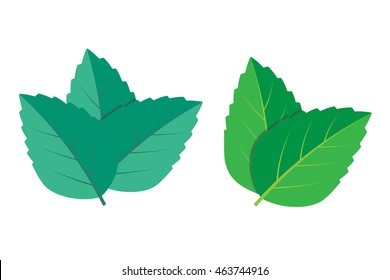 Mint green vector illustration set eps 10