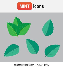Mint green vector illustration set. Mint logo vector