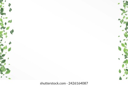 Mint Greenery Fly Vector White Background Poster. Forest Leaf Concept. Forest Foliage Motion Banner. Leaves Wind Branch.