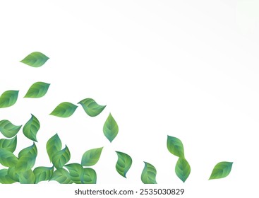 Mint Greenery Fresh Vector White Background Wallpaper. Fly Leaves Banner. Forest Leaf Ecology Pattern. Foliage Flying Border.