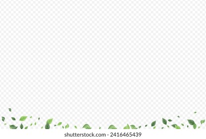 Mint Greenery Realistic Vector Transparent Background Template. Blur Leaves Poster. Swamp Foliage Tea Design. Leaf Herbal Wallpaper.