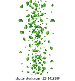 Mint Greens Blur Vector White Background. Transparent Leaves Wallpaper. Grassy Foliage Realistic Pattern. Leaf Herbal Poster.