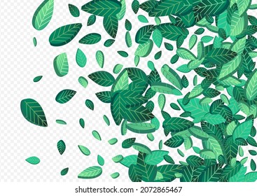 Mint Greens Ecology Vector Transparent Background Border. Wind Foliage Branch. Swamp Leaf Fresh Poster. Leaves Transparent Pattern.