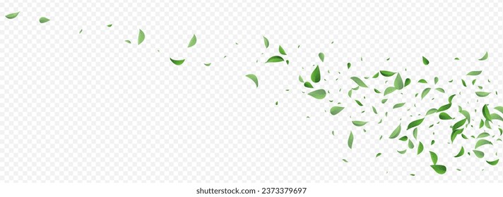 Mint Greens Falling Vector Panoramic Transparent Background Border. Abstract Leaf Branch. Green Foliage Forest Banner. Leaves Herbal Pattern.