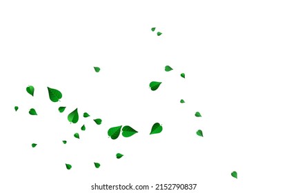 Mint Greens Falling Vector White Background Poster. Fresh Leaf Illustration. Green Leaves Nature Border. Foliage Spring Wallpaper.