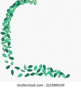 Mint Greens Flying Vector Transparent Background Banner. Realistic Leaf Plant. Lime Foliage Blur Pattern. Leaves Abstract Wallpaper.