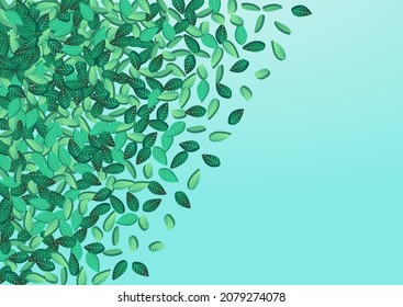 Mint Greens Forest Vector Blue Background Plant. Fly Leaf Branch. Swamp Leaves Swirl Poster. Foliage Tea Backdrop.