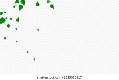 Mint Greens Fresh Vector Transparent Background Design. Forest Leaf Pattern. Green Leaves Transparent Wallpaper. Foliage Fly Backdrop.