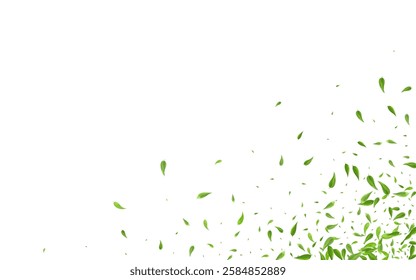 Mint Greens Fresh Vector White Background Brochure. Realistic Leaves Pattern. Lime Foliage Ecology Illustration. Leaf Tea Branch.