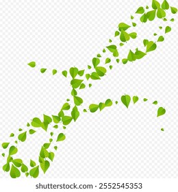 Mint Greens Motion Vector Transparent Background Brochure. Wind Leaf Branch. Forest Leaves Falling Backdrop. Foliage Transparent Concept.