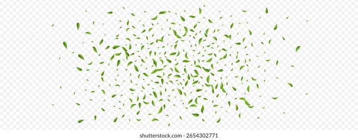 Mint Greens Nature Vector Panoramic Transparent Background Pattern. Realistic Foliage Design. Green Leaf Transparent Illustration. Leaves Falling Template.
