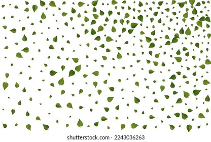 Mint Greens Organic Vector White Background Pattern. Ecology Leaf Template. Grassy Leaves Tree Wallpaper. Foliage Transparent Plant.