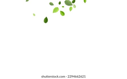 Mint Greens Realistic Vector Poster. Fresh Leaf Template. Olive Foliage Nature Design. Leaves Wind Banner.