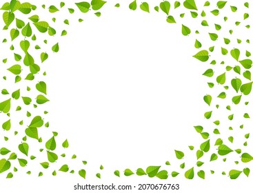 Mint Greens Realistic Vector White Background Template. Spring Leaves Wallpaper. Olive Leaf Tree Banner. Foliage Swirl Border.