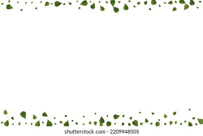 Mint Greens Realistic Vector White Background Border. Nature Foliage Brochure. Swamp Leaf Forest Pattern. Leaves Fly Branch.