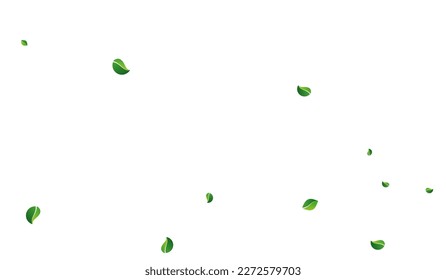Mint Greens Realistic Vector White Background. Swirl Leaf Border. Olive Foliage Spring Template. Leaves Fresh Design.