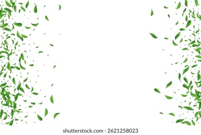 Mint Greens Realistic Vector White Background Border. Falling Leaves Pattern. Green Leaf Tree Design. Foliage Swirl Banner.