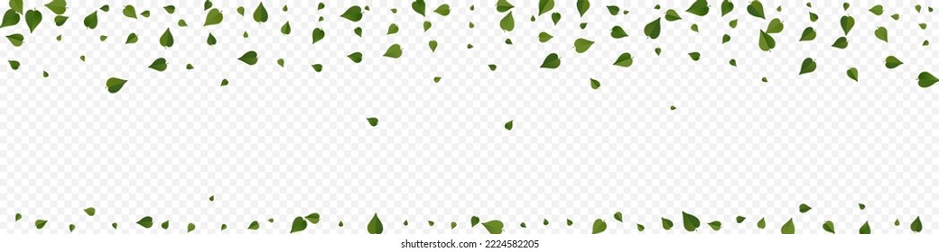 Mint Greens Spring Vector Panoramic Transparent Background Concept. Ecology Foliage Illustration. Olive Leaf Flying Wallpaper. Leaves Fresh Backdrop.