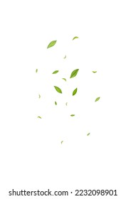 Mint Greens Spring Vector White Background Wallpaper. Blur Leaves Branch. Forest Foliage Motion Poster. Leaf Tree Pattern. - Shutterstock ID 2232098901