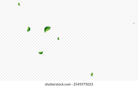 Mint Greens Swirl Vector Transparent Background. Nature Leaves Plant. Forest Leaf Ecology Illustration. Foliage Forest Brochure.