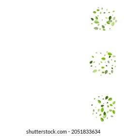 Mint Greens Tea Vector Design. Fly Leaf Banner. Lime Foliage Realistic Border. Leaves Nature Plant.