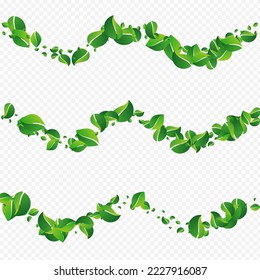 Mint Greens Transparent Vector Transparent Background. Blur Leaf Wallpaper. Swamp Foliage Falling Illustration. Leaves Realistic Branch.