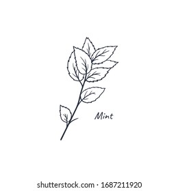 Dibujo de concepto de doodle dibujado a mano. 