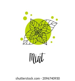 Afiche dibujado a mano en la menta. Ilustración vectorial de material.
