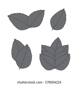 Mint hand sketch vector illustration. Peppermint engraved drawing of menthol leaves.