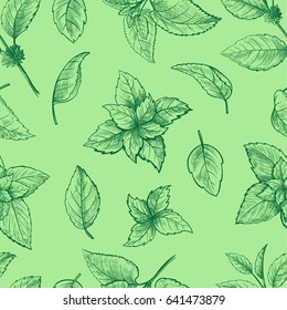 Mint hand sketch vector illustration seamless texture. Peppermint engraved drawing of menthol leaves isolated on white background. Leaf herbal spearmint plant