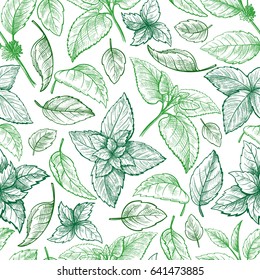 Mint hand sketch vector illustration seamless texture. Peppermint engraved drawing of menthol leaves isolated on white background. Leaf herbal spearmint plant