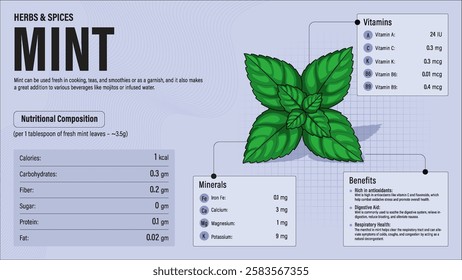 Mint Herb Nutrition Facts and Health Benefits–Detailed Vector Infographic for Healthy Eating and Wellness