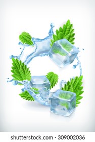 Mint With Ice Cubes And Water Splash, Vector Icon