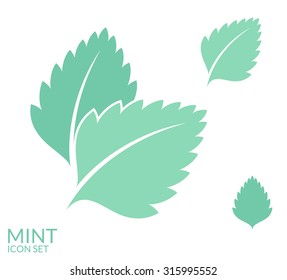 Mint icon. Abstract leaves vector. Fresh mint leaves on white background. Pepermint sign