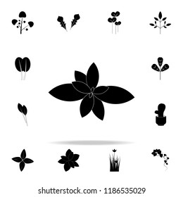 mint icon. Plants icons universal set for web and mobile