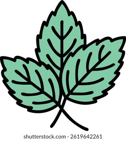 Mint Icon Representing Freshness and Natural Herbs