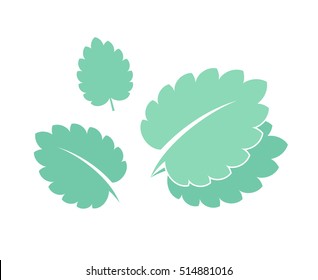 Mint. Icon set. Fresh mint leaves on white background