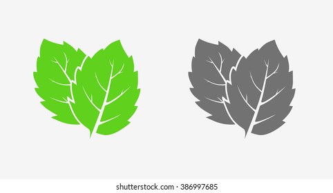 Mint. Icon set. Green and gray. Isolated leaves on white background