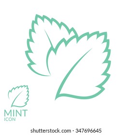 Mint. Icon set. Isolated mint leaves on white background. Vector illustration EPS10