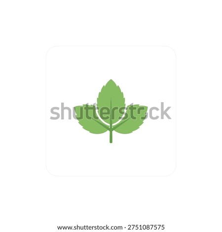 Mint Icon with Smooth Rounded Leaves, Flat 2D Botanical Vector Illustration