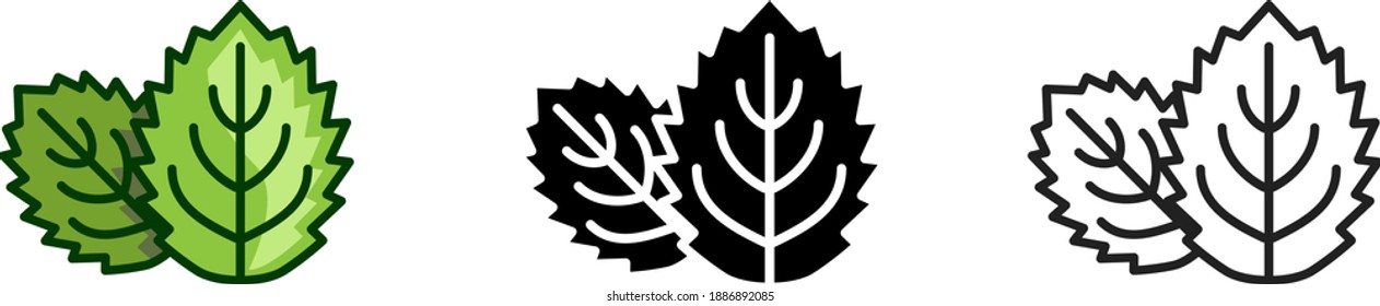 Mint icon, vector line illustration