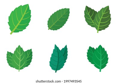 Mint icons set. Flat set of mint vector icons isolated on white background